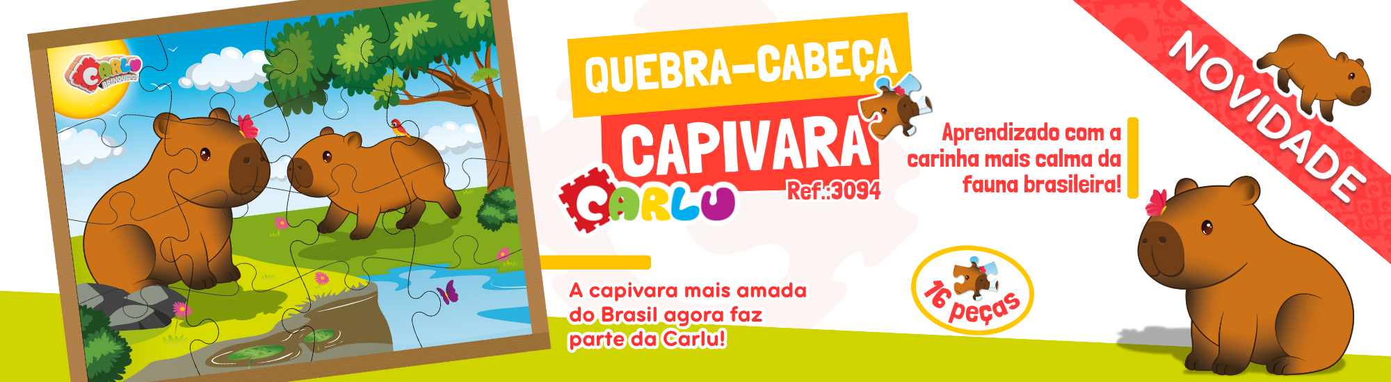 QÇ CAPI